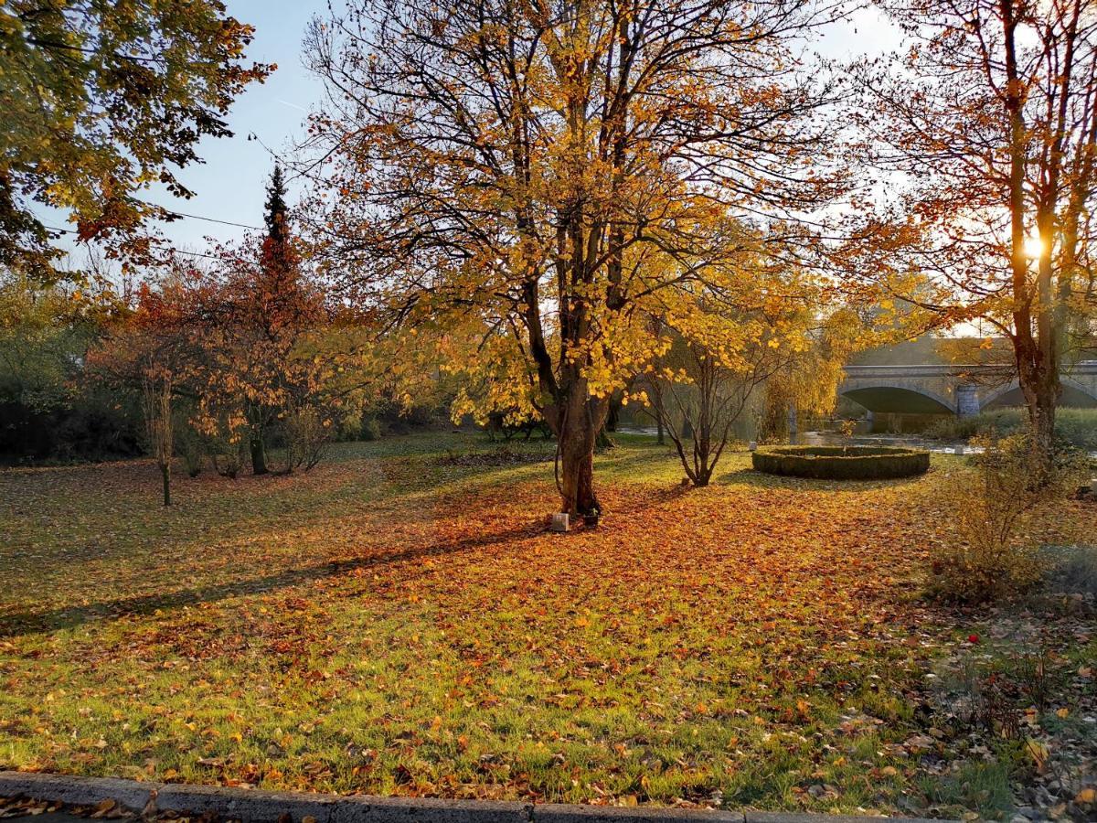 La Roseraie. Gaume-Ardenne-Lacuisine Sur Semois. フロロンヴィル エクステリア 写真